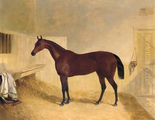 Mr William Orde's Bay Filly Bees-Wing In A Loose Box 2 Oil Painting by John Frederick Herring Snr