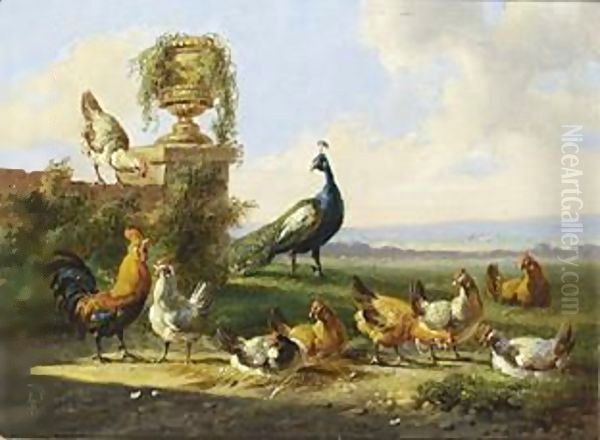 Chicken And A Peacock In A Garden Oil Painting by Albertus Verhoesen