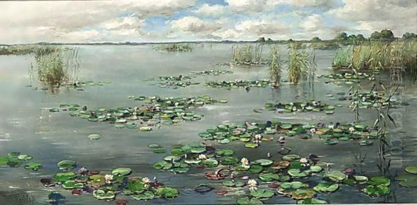 Plasgezicht Met Waterlelies Oil Painting by Willem Roelofs