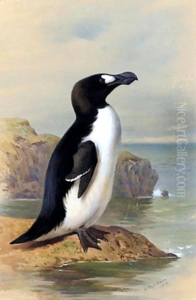 The Great Auk Oil Painting by Archibald Thorburn