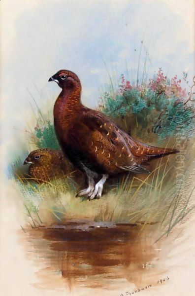 A Cock And Hen Red Grouse Oil Painting by Archibald Thorburn