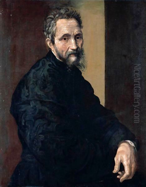 Portrait Of Michelangelo Buonarroti, Half Length, Wearing Black Oil Painting by Jacopino del Conte