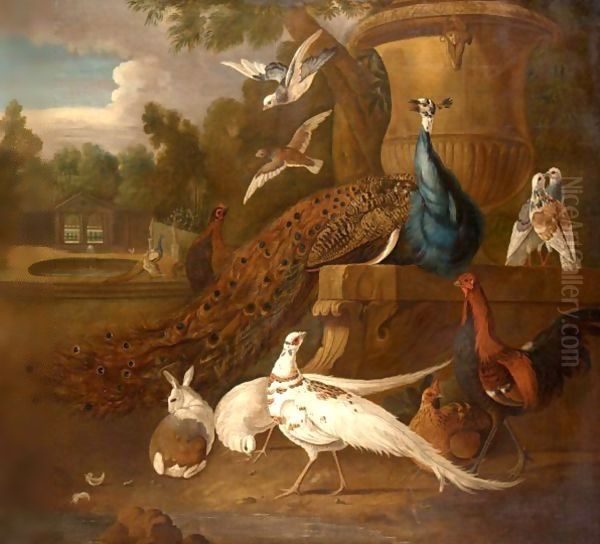 Peacocks, White Pheasants, Doves, A Hen, A Cockerel, A Rabbit Together In A Parkland Landscape Oil Painting by Pieter Casteels III