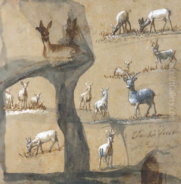 A Sheet Of Studies Of Deer Oil Painting by Claude Lorrain (Gellee)