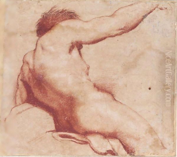 Seated Male Nude With Raised Arm, Seen From Behind Oil Painting by Annibale Carracci