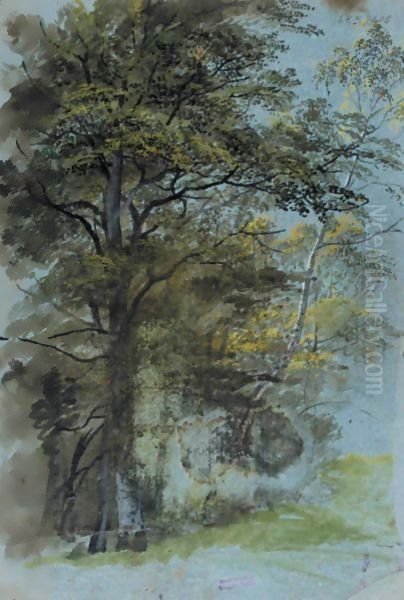 Study Of A Clump Of Trees Oil Painting by Johann Jakob The Younger Dorner