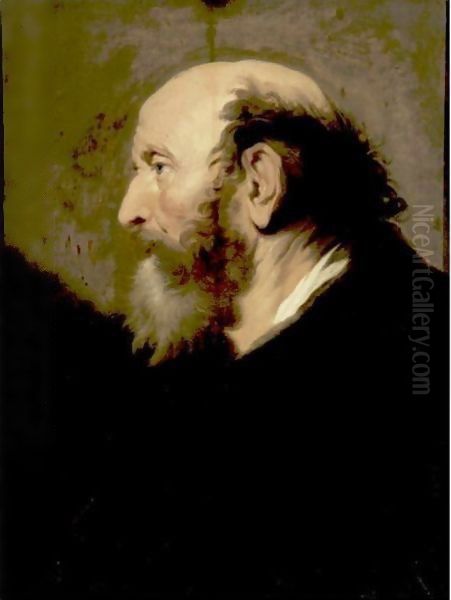 Profile Portrait Of A Bearded Man Oil Painting by Jacob Adriaensz Backer