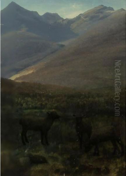 White Mountains Near Glen House Oil Painting by Albert Bierstadt