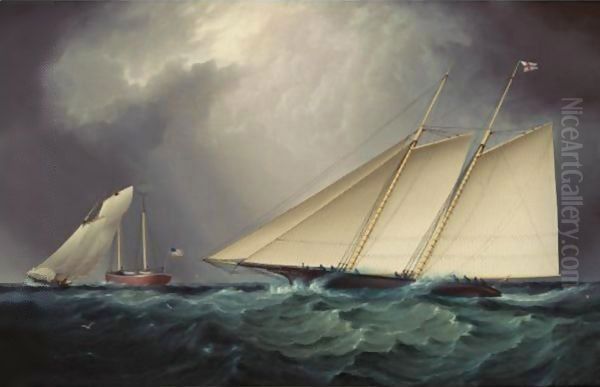 Columbia Vs. Livonia, Racing Off Sandy Hook Oil Painting by James E. Buttersworth