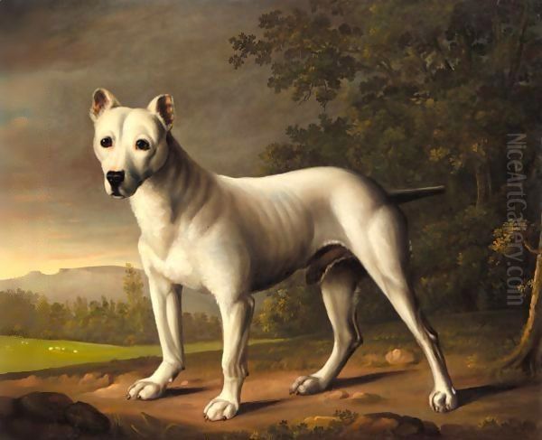 A Bull Terrier In A Landscape Oil Painting by George Nairn