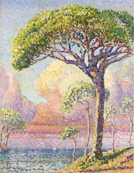 Un Pin Oil Painting by Henri Edmond Cross