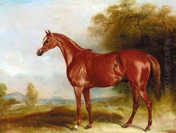 Harkaway, A Chestnut Racehorse In A Landscape Oil Painting by John Snr Ferneley