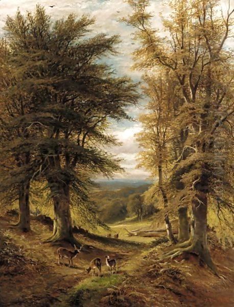 Deer In A Woodland Clearing Oil Painting by Alfred Glendening