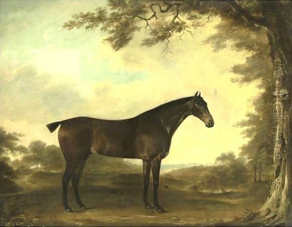 Portrait Of A Horse Age 19 Years Oil Painting by Thomas Weaver