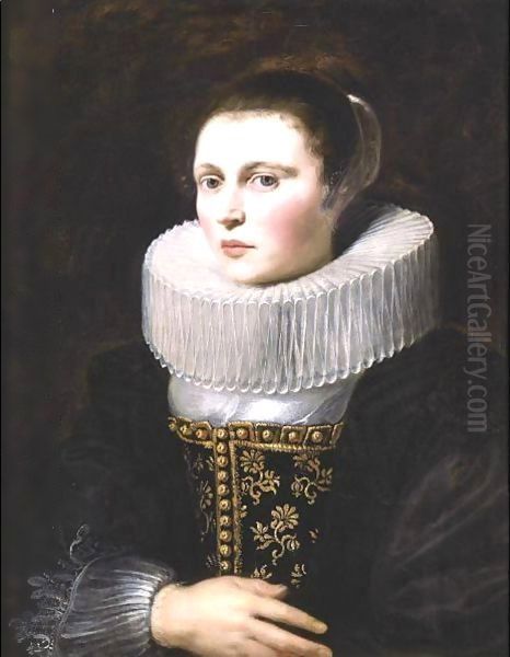 Portrait Of A Lady Oil Painting by Cornelis De Vos