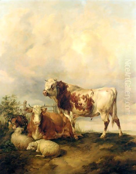 A Bull And Cow, Two Sheep And A Goat Oil Painting by Thomas Sidney Cooper