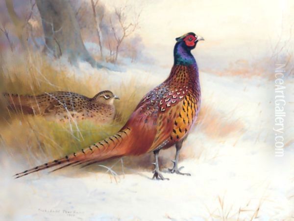 A Pair Of Pheasants In The Snow Oil Painting by Archibald Thorburn