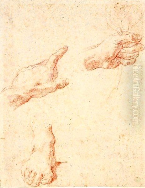 A Sheet Of Studies Of Two Left Hands And A Right Foot Oil Painting by Pompeo Gerolamo Batoni