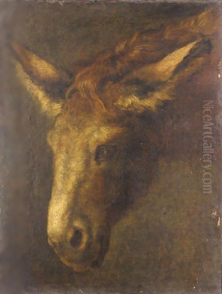 A Study Of The Head Of A Donkey Oil Painting by Peeter Boel