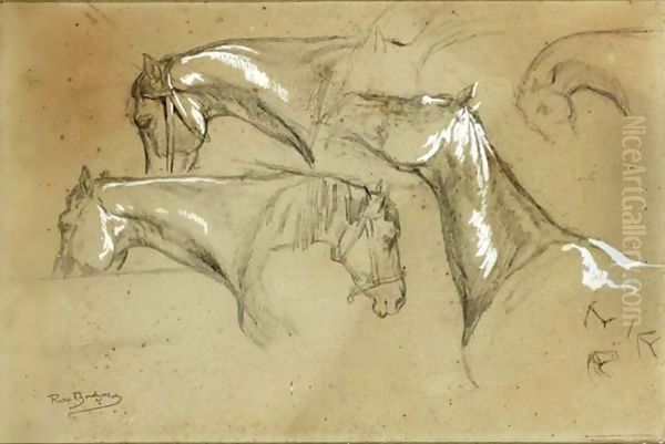 Studies Of Horses Oil Painting by Rosa Bonheur