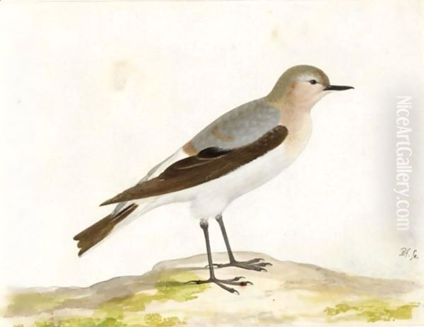 A Wheatear Oil Painting by Pieter the Younger Holsteyn