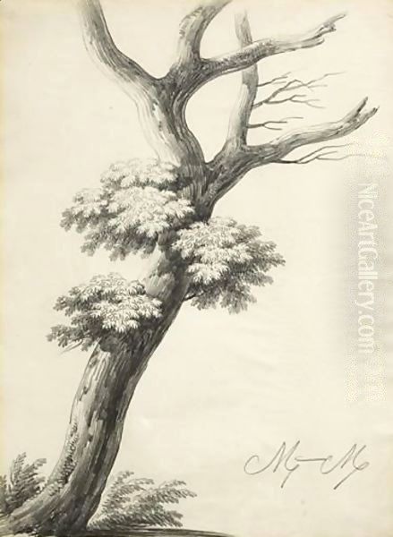 Study Of A Tree Oil Painting by Alphonse Nicolas Michel Mandevare