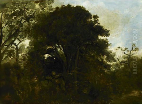 Study Of Trees Oil Painting by Jean-Baptiste-Camille Corot