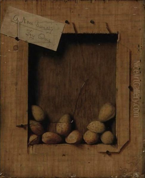 Still Life With Almonds Oil Painting by De Scott Evans