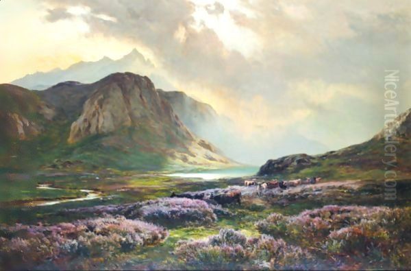 Highland Cattle Amongst The Heather Oil Painting by Sidney Richard Percy