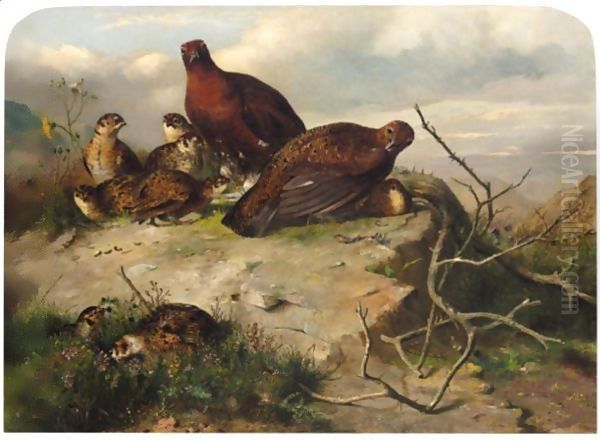 A Pair Of Red Grouse And Chicks Oil Painting by John Clement Bell