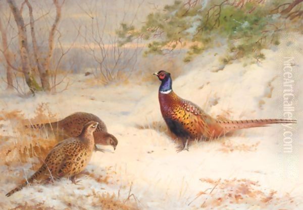 A Winter Dawn, Pheasants In The Snow Oil Painting by Archibald Thorburn