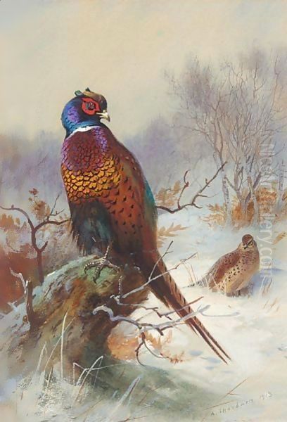 A Pair Of Pheasants Oil Painting by Archibald Thorburn