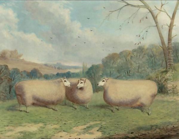 Mr. Henry J. Hopkin's Prize Sheep, Winners Of The 1st And 2nd Prizes At Brockley, Smithfield Club, Bedford, Market Harborough, 1876-1877 Oil Painting by Richard Whitford