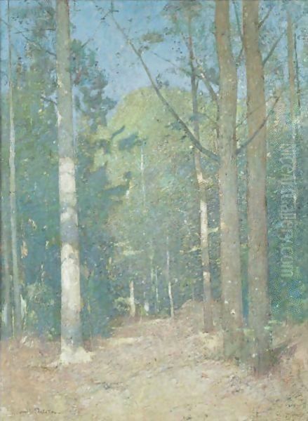 Afternoon Sunlight Oil Painting by Emil Carlsen