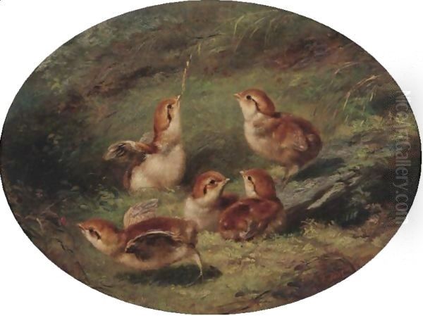 Young Ruffed Grouse 2 Oil Painting by Arthur Fitzwilliam Tait