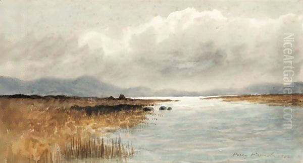 A Peat Bog, Ireland Oil Painting by William Percy French