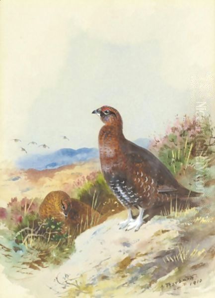 Red Grouse Oil Painting by Archibald Thorburn