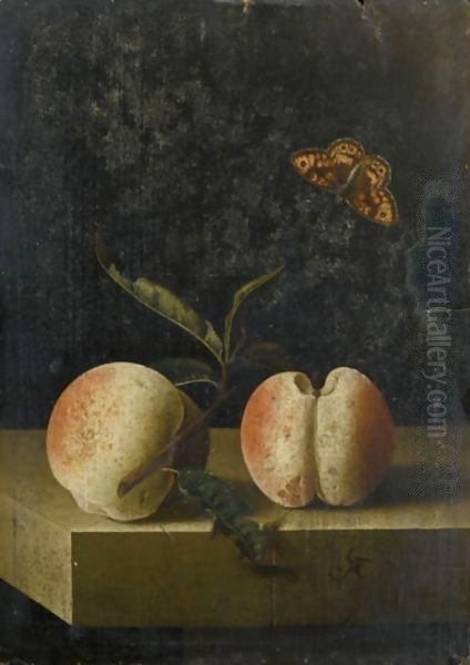 Still Life With Two Peaches And A Fritillary Butterfly On A Stone Ledge Oil Painting by Adriaen Coorte