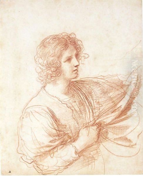 Study Of A Youth Holding A Swag Of Drapery Oil Painting by Giovanni Francesco Barbieri