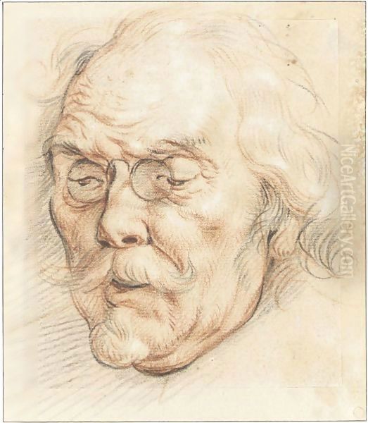 Head Of An Elderly Man (Adam Van Noort) Oil Painting by Jacob Jordaens