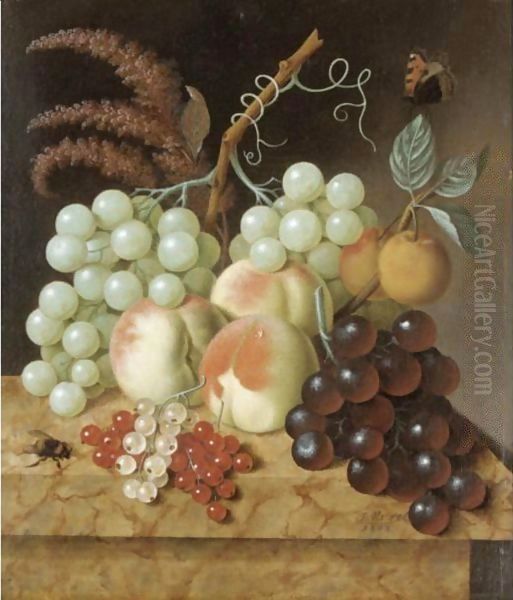 Still Life With Peaches, Apricots, Grapes, Berries, A Fly And A Butterfly On A Marble Ledge Oil Painting by Jan Evert Morel