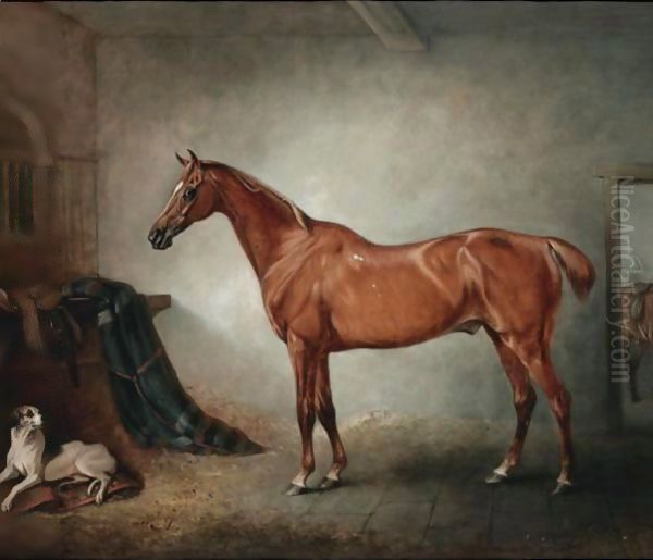 Firebird, A Chestnut Hunter, And Policy, A Foxhound, In A Loose Box, Oil Painting by John Snr Ferneley