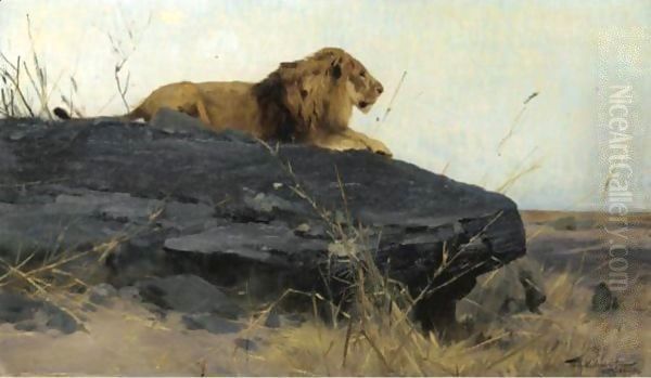 Lowe Auf Felsen (Lion On A Rock) Oil Painting by Wilhelm Kuhnert