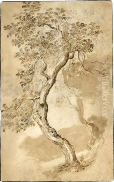 Study Of Two Trees Oil Painting by Abraham Bloemaert