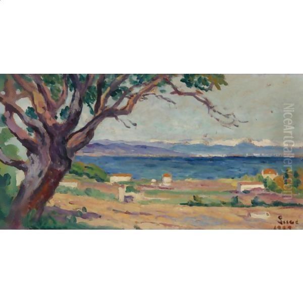 La Baie Des Canebieres A Saint Tropez Oil Painting by Maximilien Luce