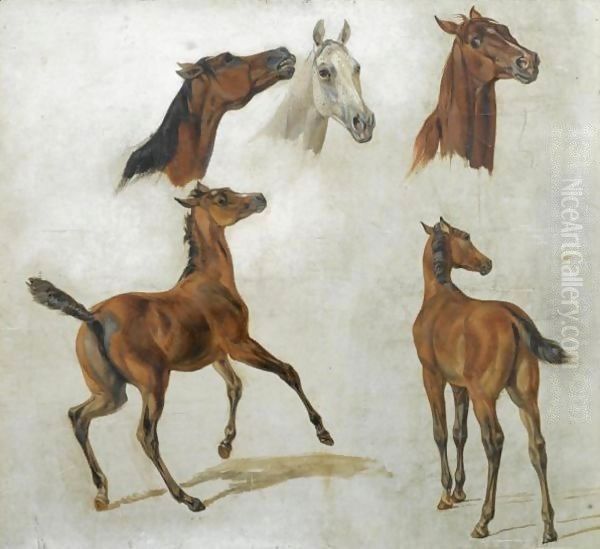 Pferdestudien (Horse Studies) Oil Painting by Adam Albrecht