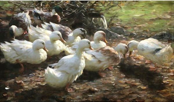 Nine Ducks Oil Painting by Alexander Max Koester