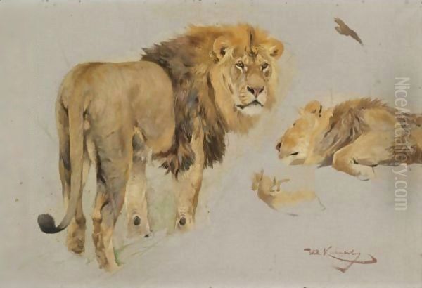 Study Of Lions Oil Painting by Wilhelm Kuhnert