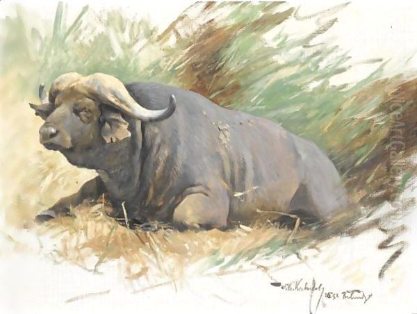 Study Of A Buffalo Oil Painting by Wilhelm Kuhnert