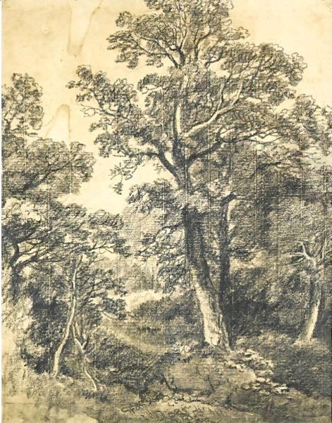 A Wooded Landscape, East Bergholt Oil Painting by John Constable